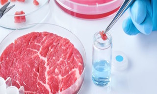 Лабораторный анализ пищевых продуктов по СанПиН в Ельце в октябре