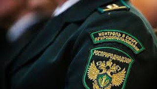 Подготовка к проверке Росприроднадзора в Ельце от ПромМир-Елц, стоимость услуги от 20536 руб.